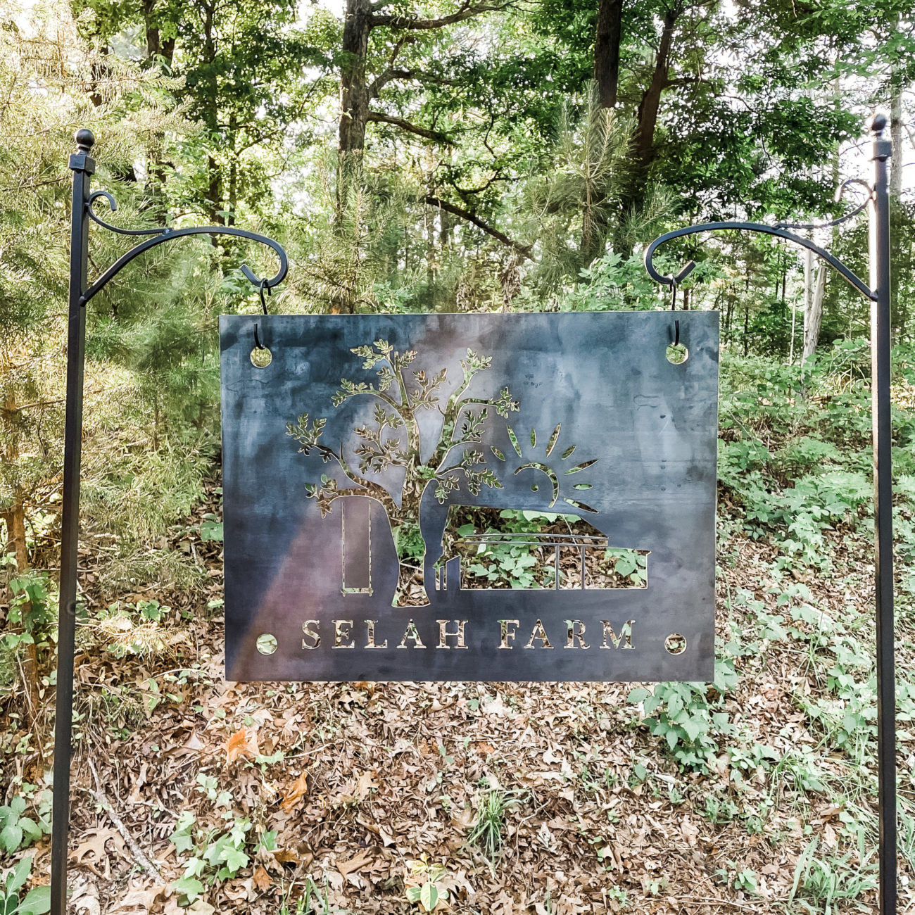 We’ve named our farm!