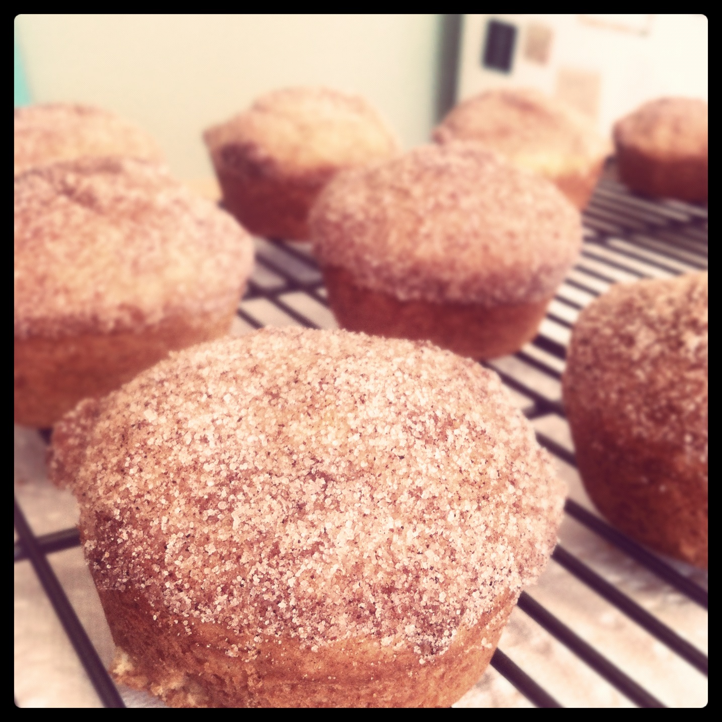 Cinnamon and Brown Sugar Breakfast Muffins
