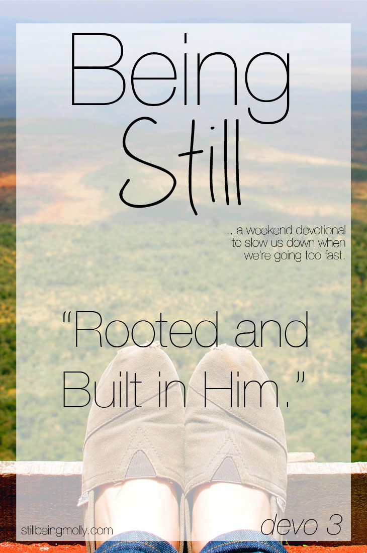 Being Still | Rooted and Built in Him
