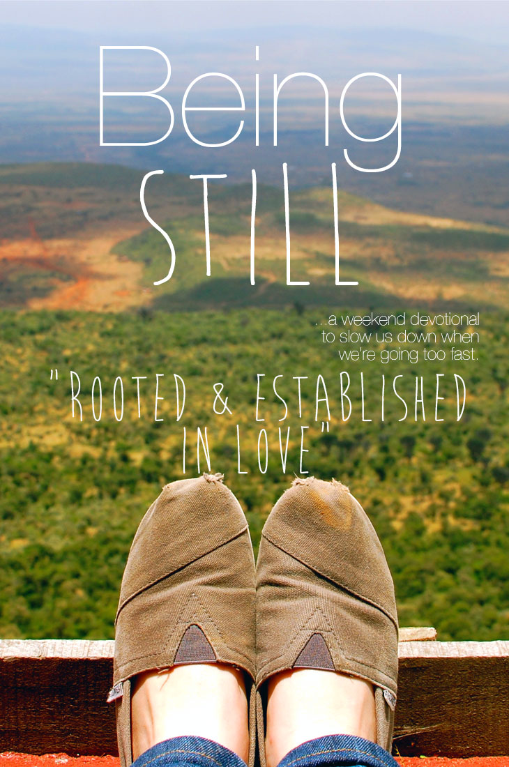 Being Still | Rooted & Established in Love
