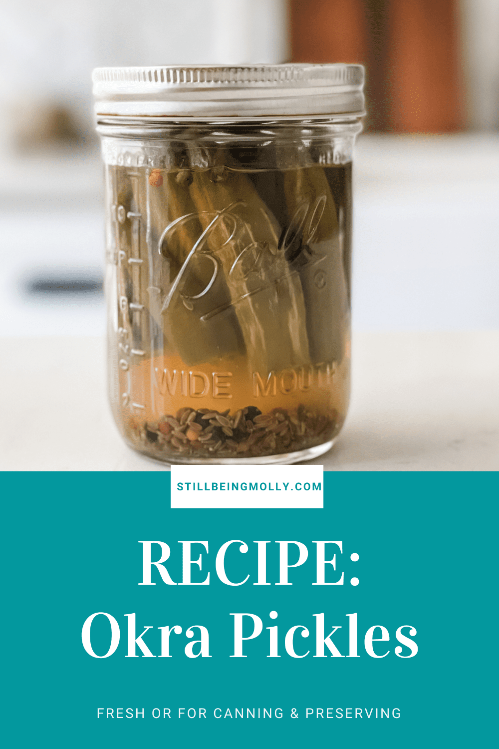 RECIPE: Okra Pickles {Fresh or For Canning}